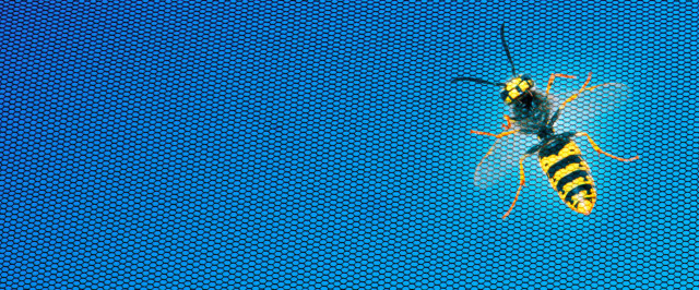 Insektenschutz - HG RaumDesign GmbH